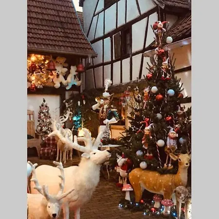 Apartamento Alsacien