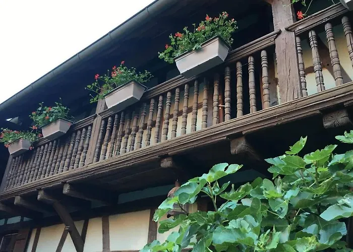 Appartement Alsacien Eckwersheim